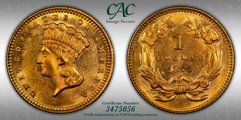 CAC Grading Coin Image Secure