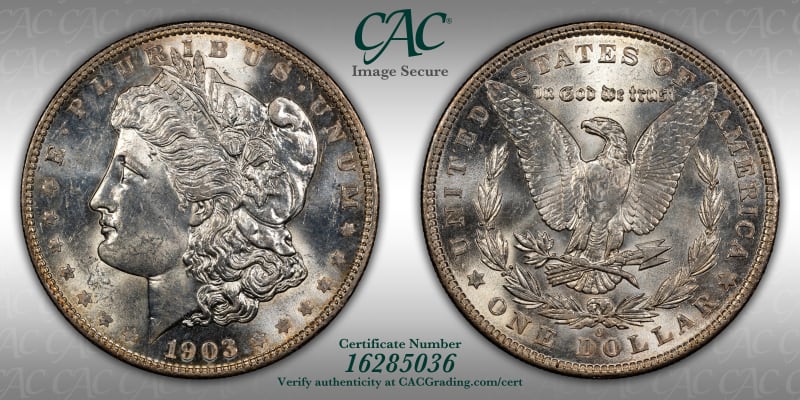 CAC Grading Coin Image Secure