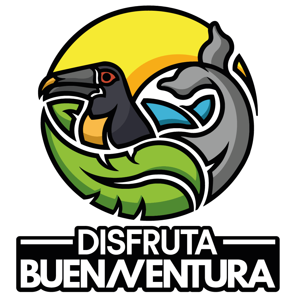 Desarrollo Turístico Buenaventura S.A.