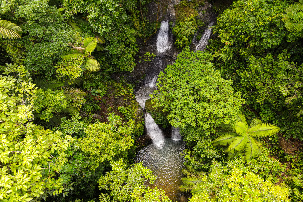 Cascada el Paraíso en Venado Verde con Disfruta Buenaventura