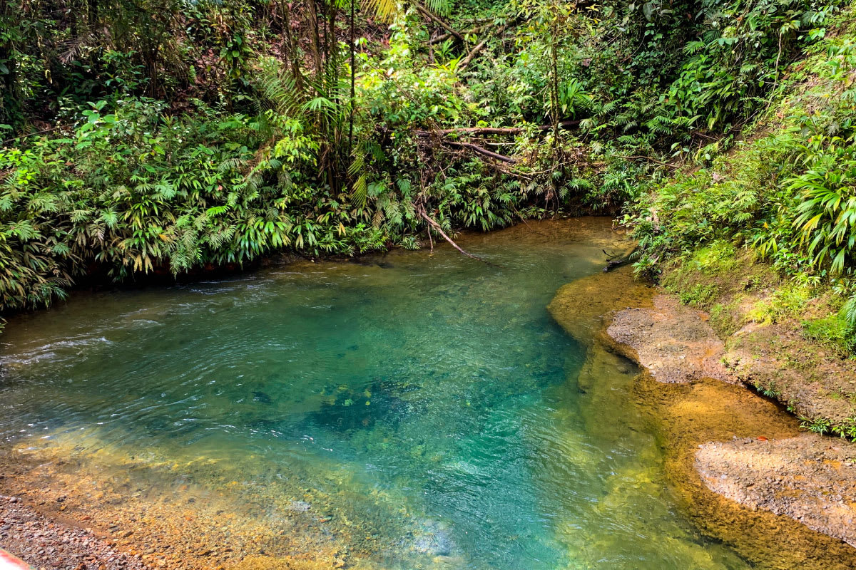 Río de Venado Verde con Disfruta Buenaventura