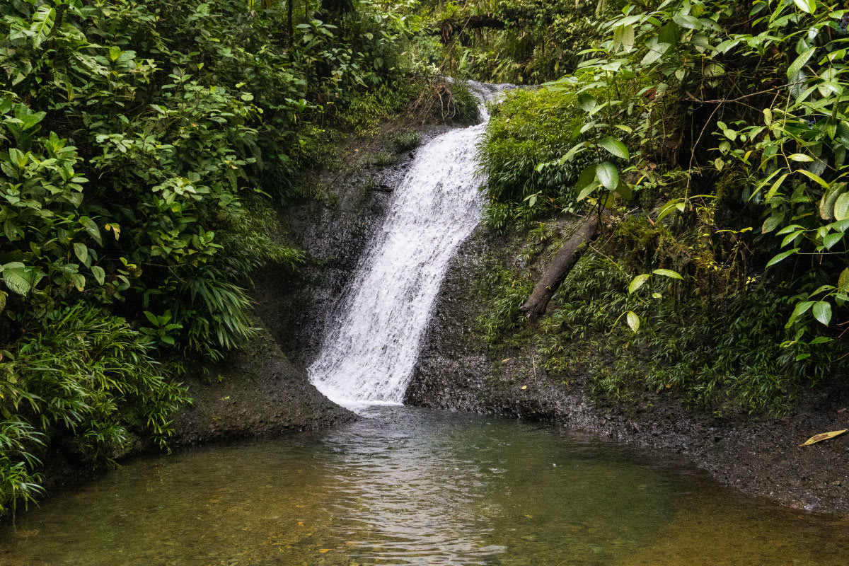 Refugio del amor en San Cipriano con Disfruta Buenaventura