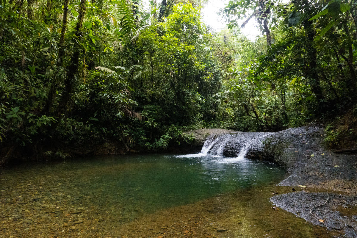 Refugio del amor en San Cipriano con Disfruta Buenaventura