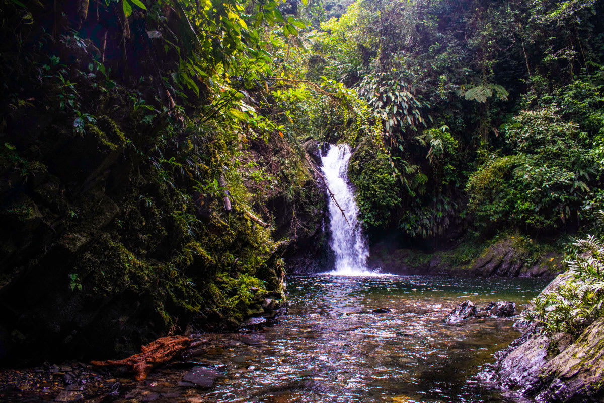 Cascada la Tortugaña, Aguaclara Buenaventura