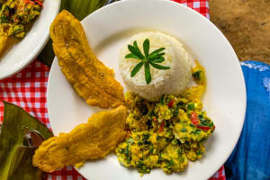 plan-mama-yeya-raices-alimentacion-disfruta-buenaventura