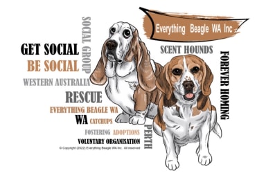 Everything Beagle WA Inc 