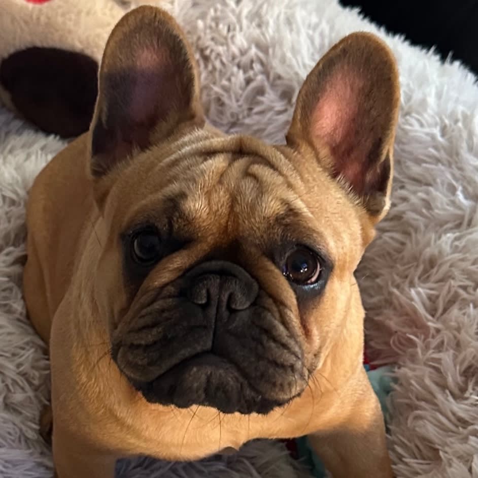 Rue