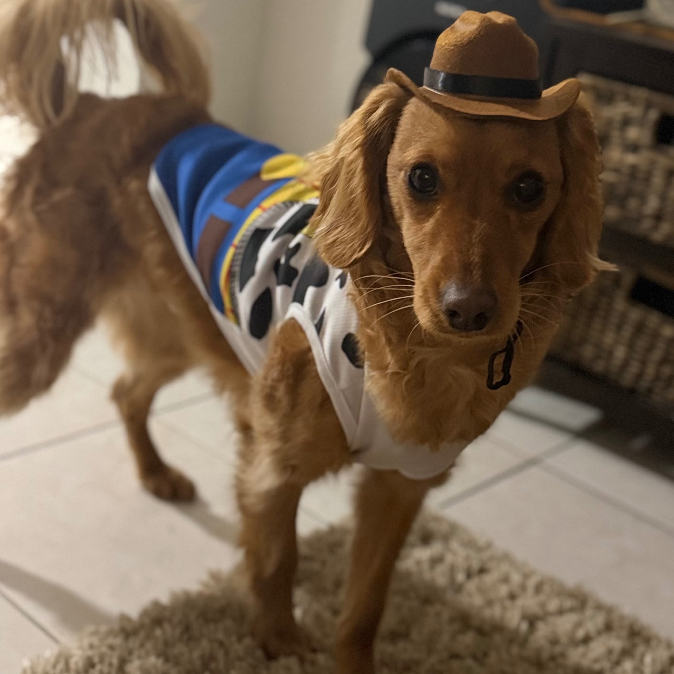 Chico