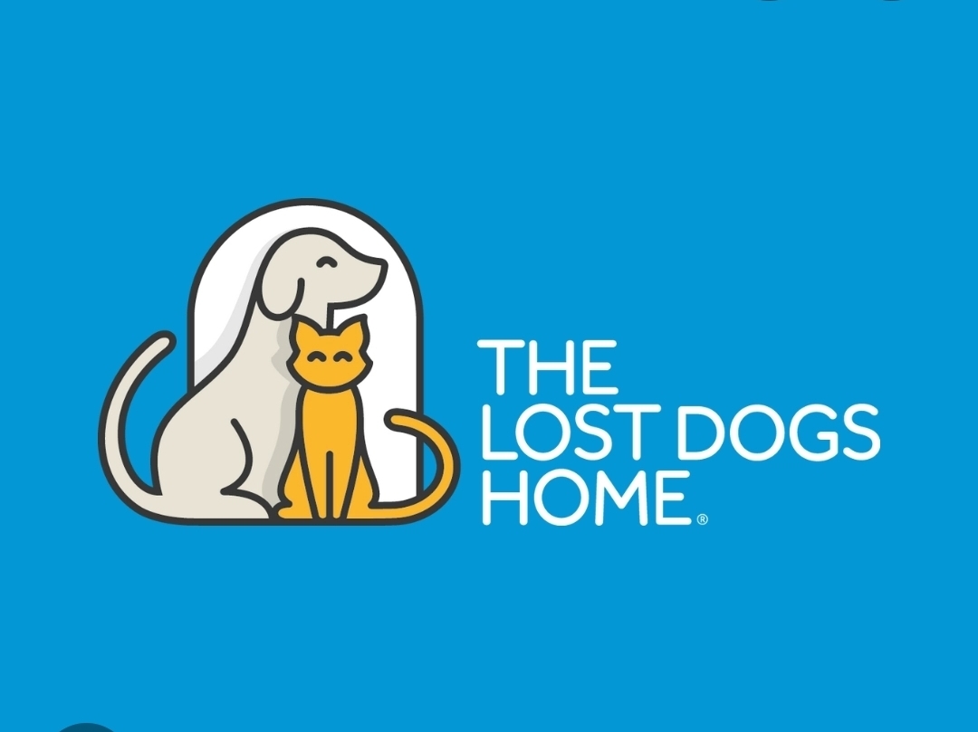 The lost dogs home