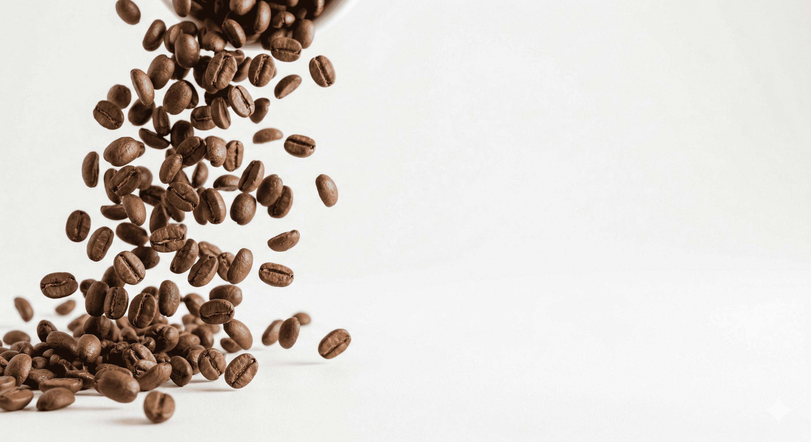 Mengenal Istilah Rasa Kopi: Cara Menikmati Kopi Gayo Seperti Seorang Profesional