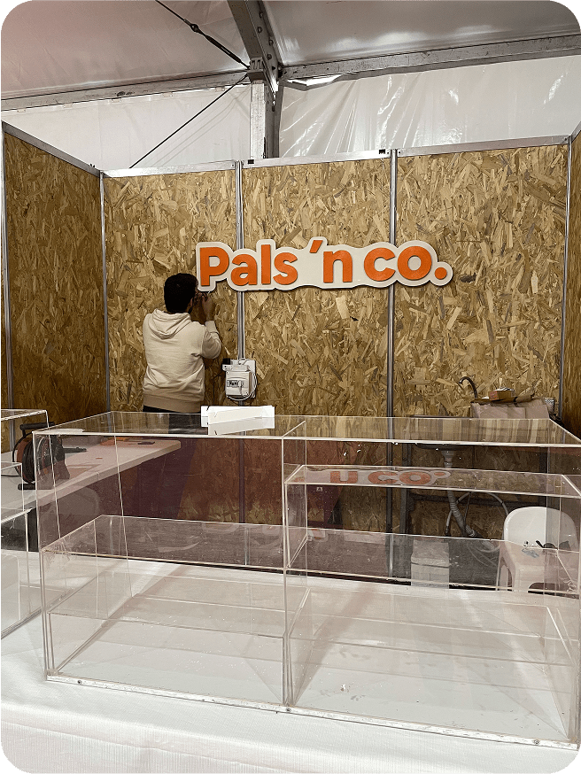 Montagem do Stand da pals n co nas tasquinhas 2025.