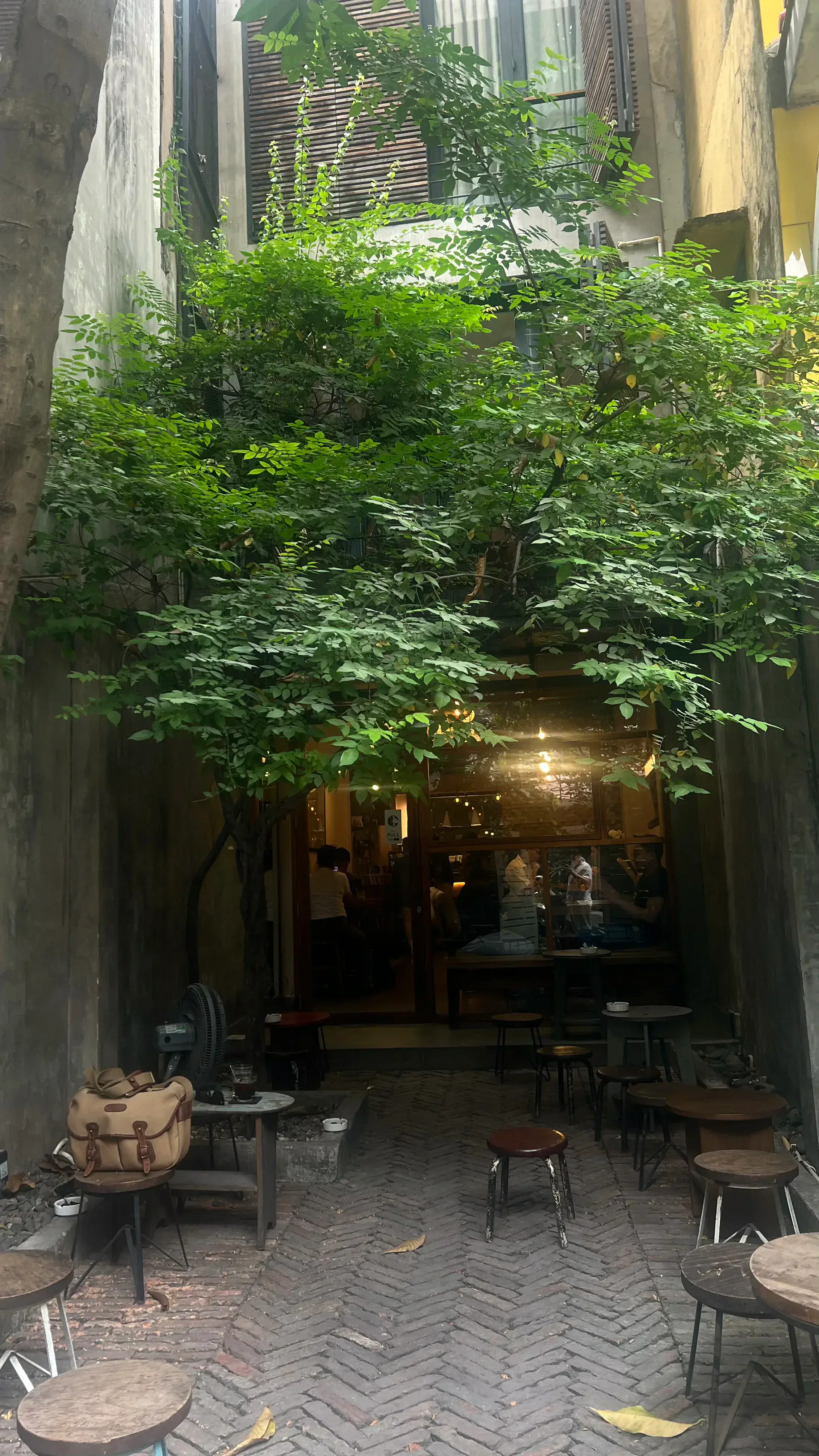 Café Slow 5