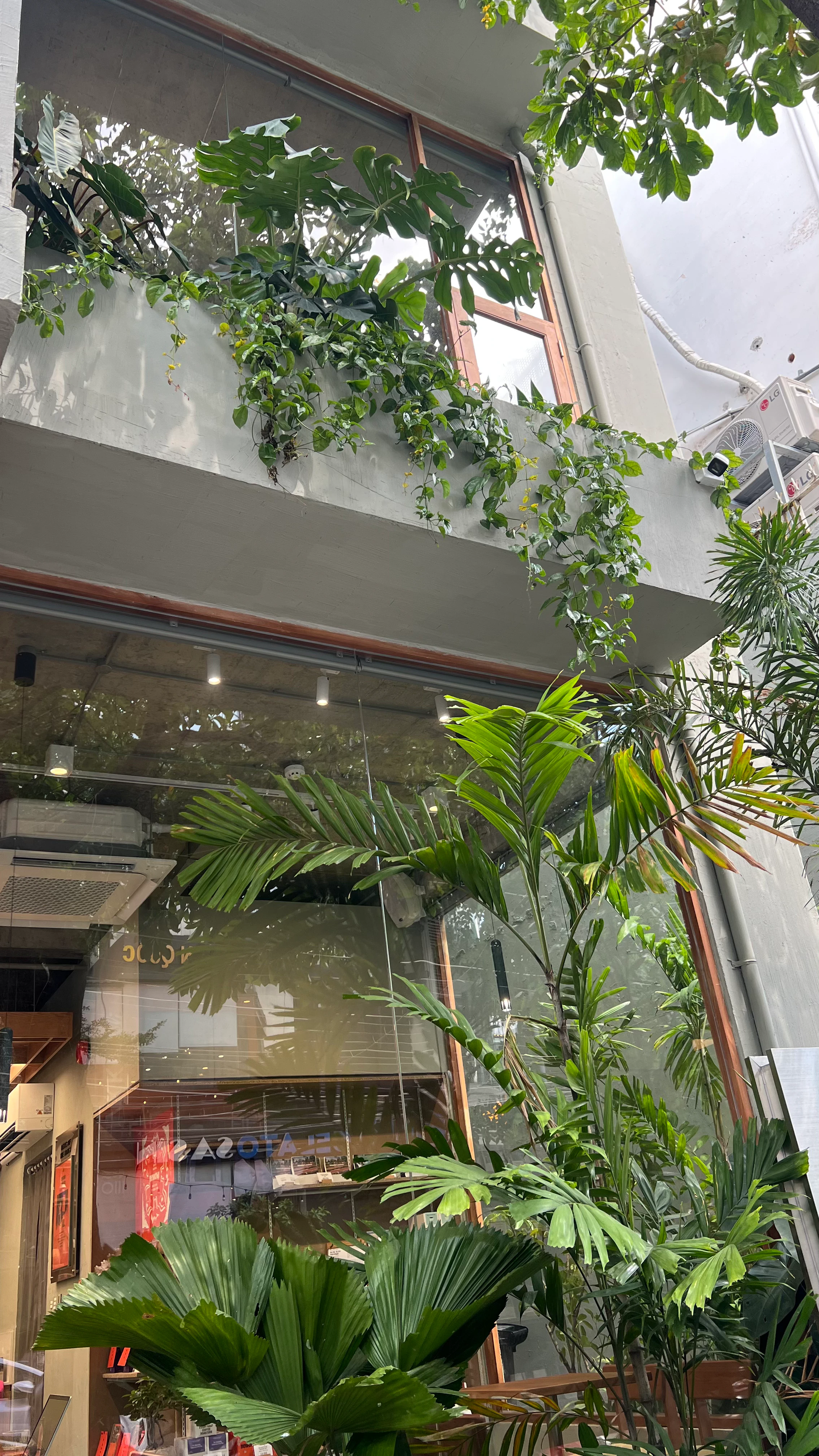 Every Half Coffee Roasters - Hoa Mai 9