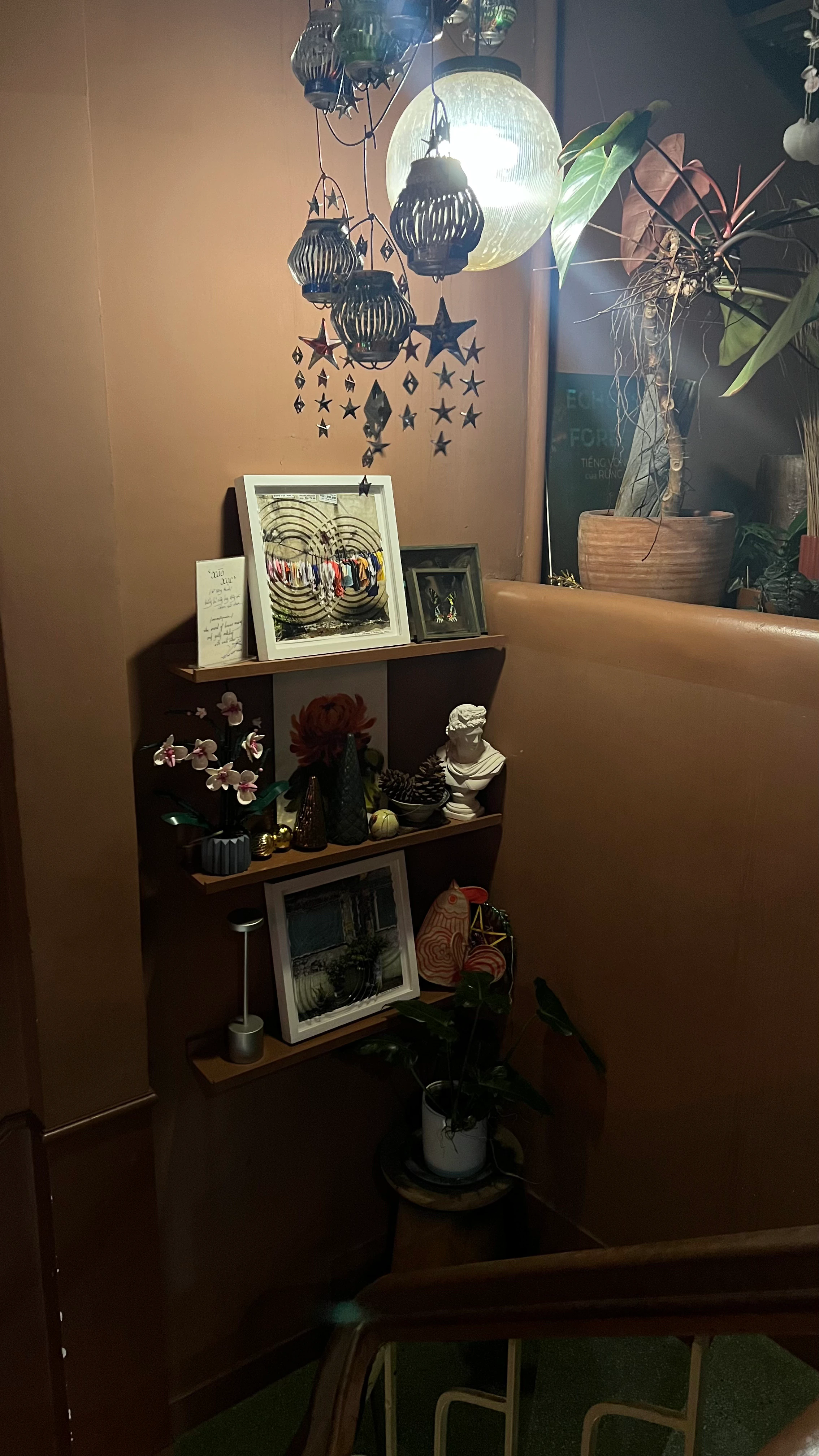 Xào Xạc Cafe & Plants 2