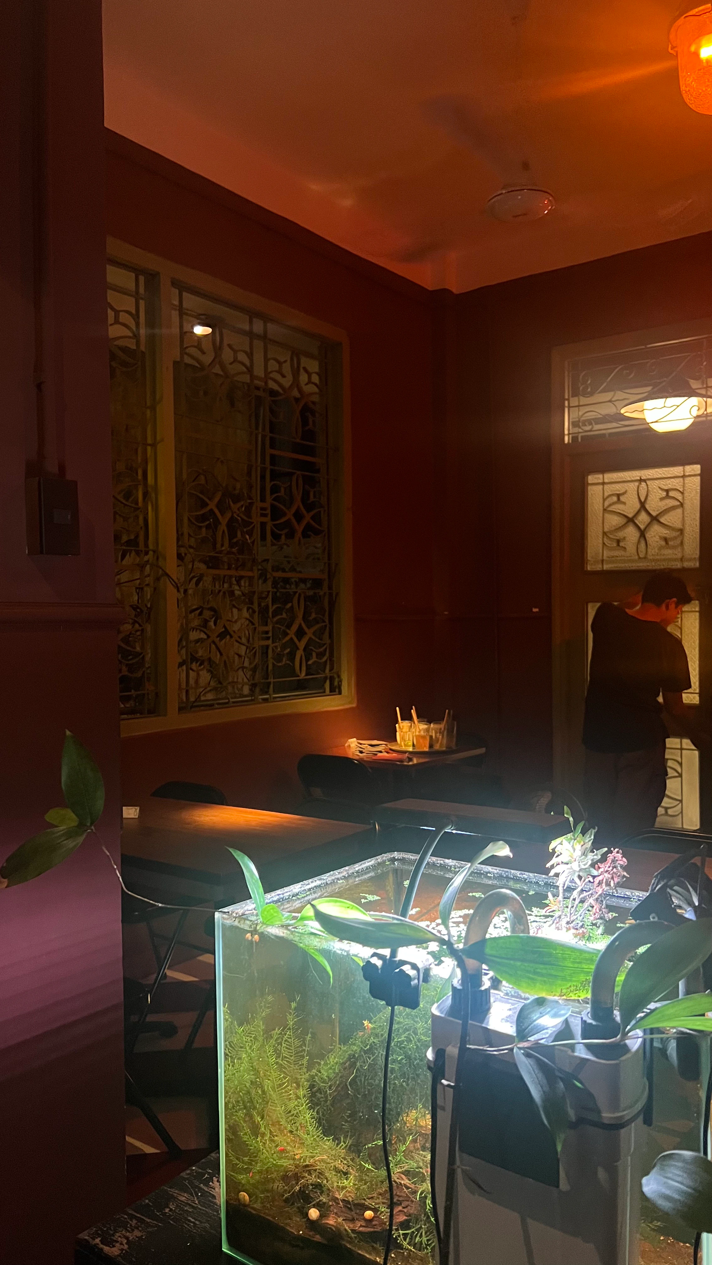 Xào Xạc Cafe & Plants thumbnail 3