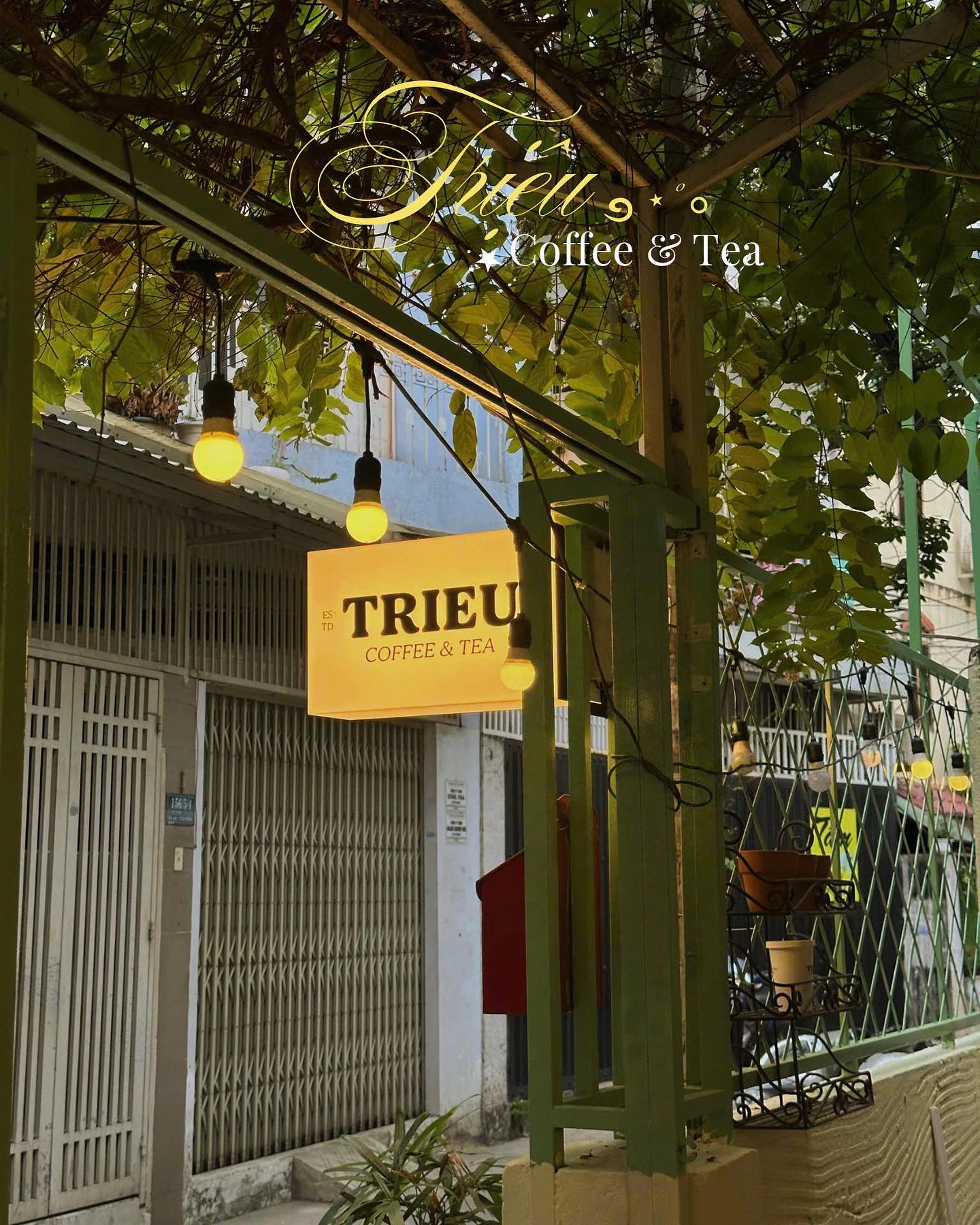 Triệu Coffee & Tea - Tô Hiến Thành thumbnail 9
