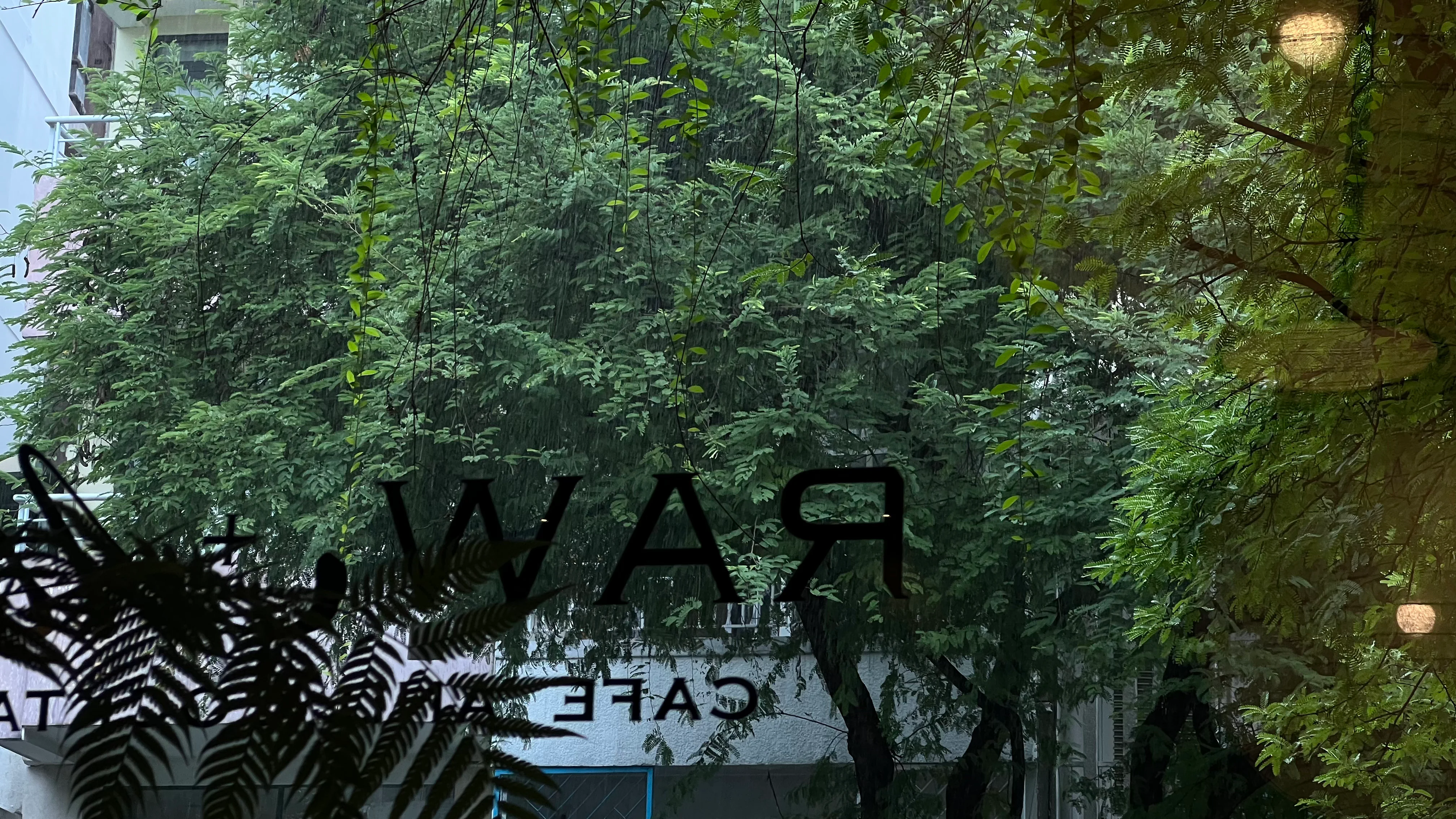RAW + Atelier thumbnail 14