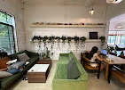 Lull Café thumbnail 8