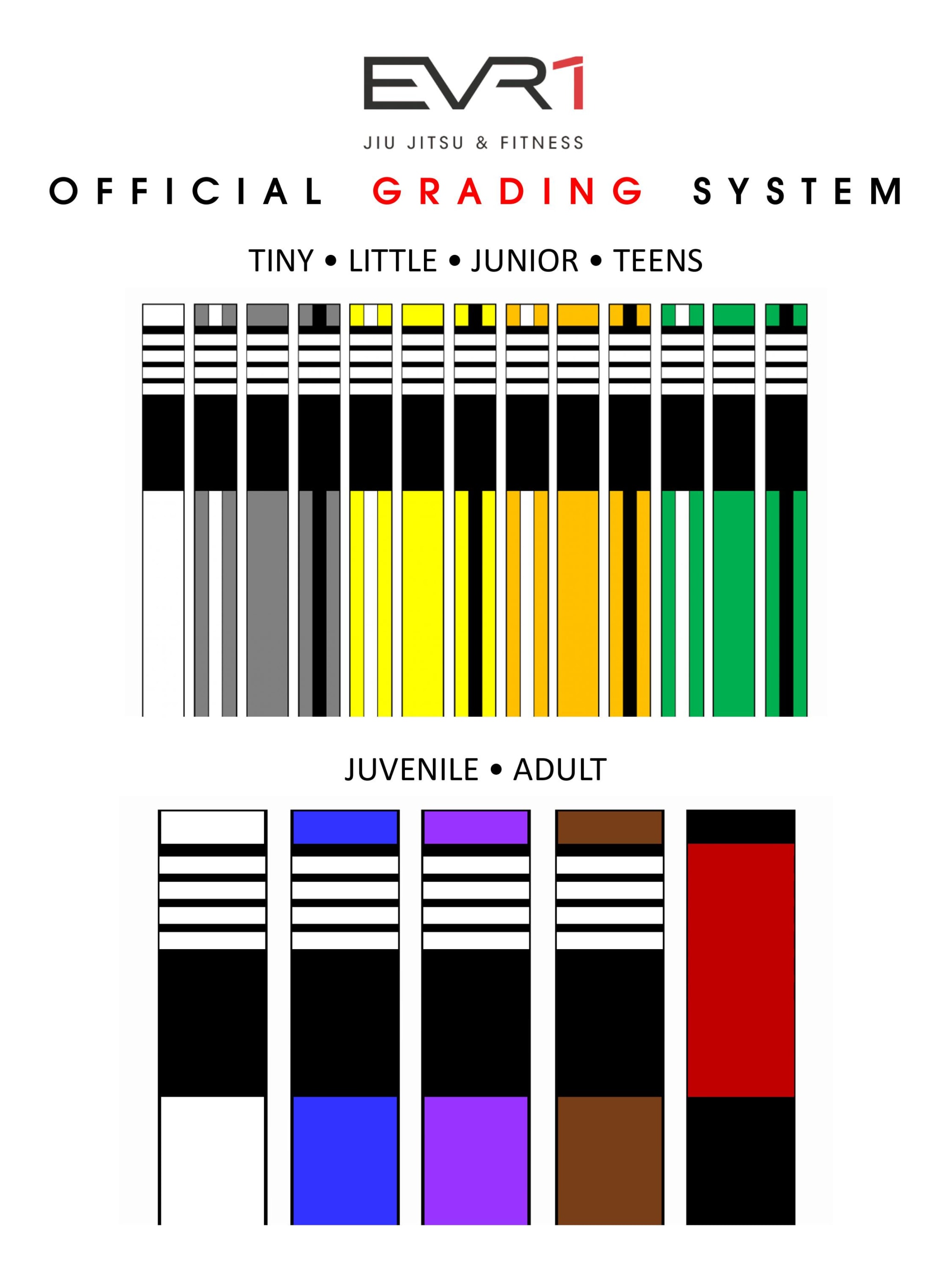 bjj grading system