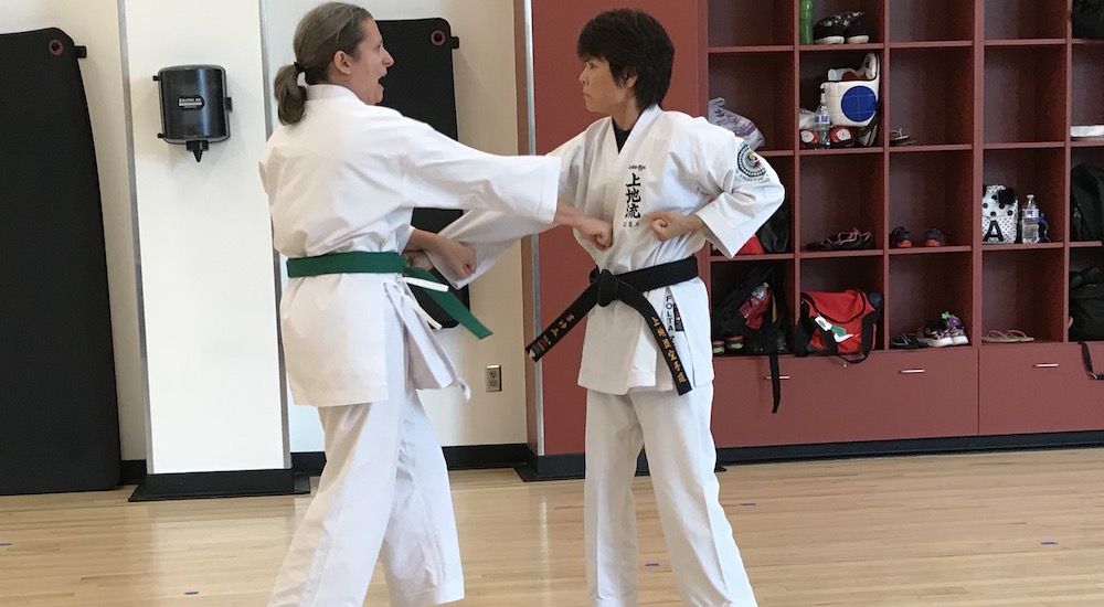 Chantilly Adult Martial Arts Okinawa Karate and Cultural Center