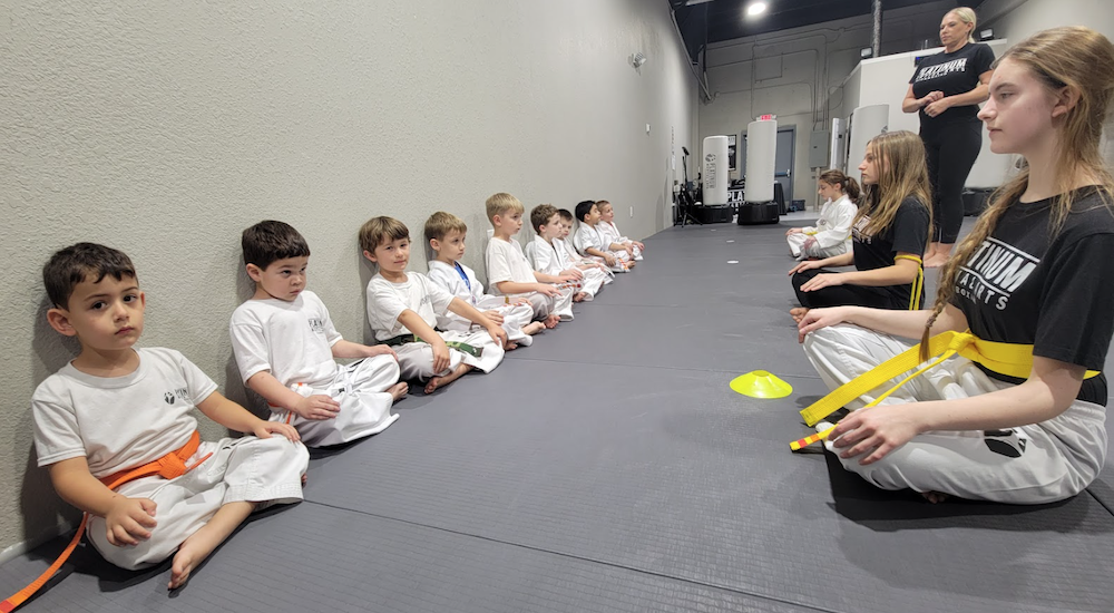 New Port Richey Kids Martial Arts Platinum Martial Arts Kickboxing