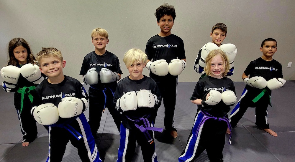 New Port Richey Kids Karate Platinum Martial Arts Kickboxing New