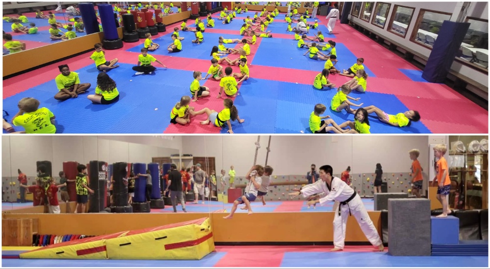 St. Louis Martial Arts Summer Camp Master Kim's Martial Arts St