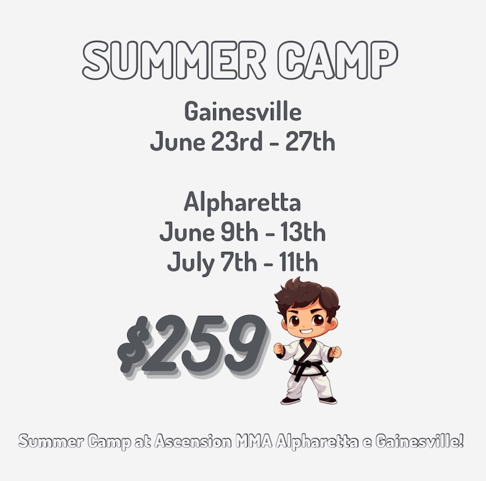 kids martial arts summer camps in Gainesville and Alpharetta