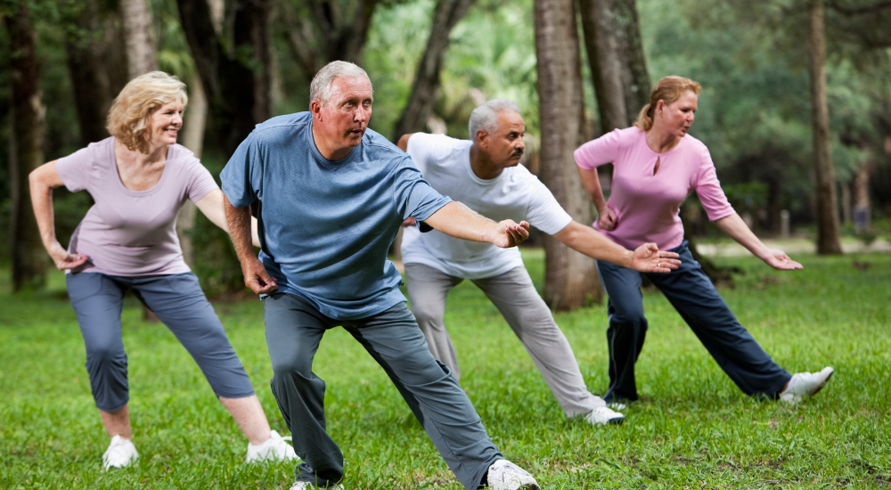 JuTe and Tai Chi Senior Fitness in Cumming