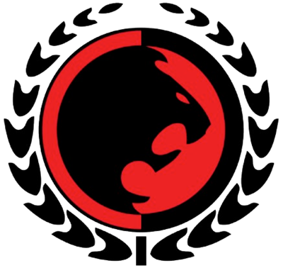 Chicago Mixed Martial Arts