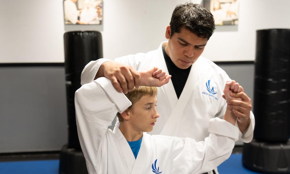 Private Martial Arts Lessons near Las Vegas