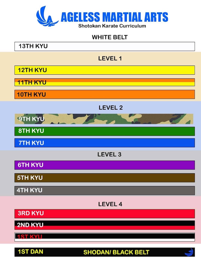 ageless martial arts curriculum and belt structure