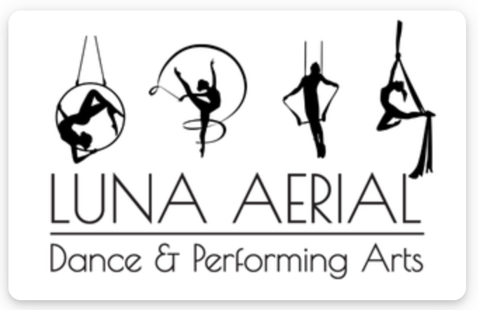 Youth Aerial Classes near Frederick