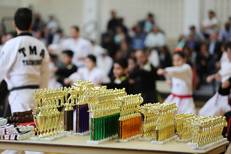 taekwondo award trophies