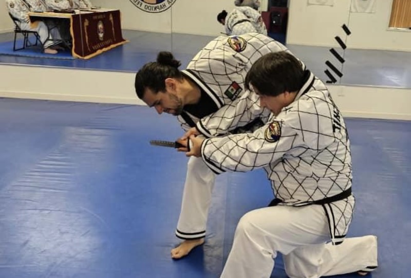 Kids Martial Arts near Wood River