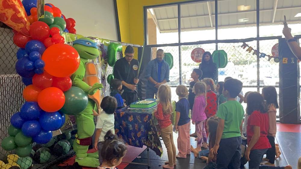 martial arts birthday party in little rock