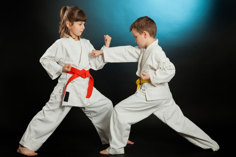 kids karate in lenoir city