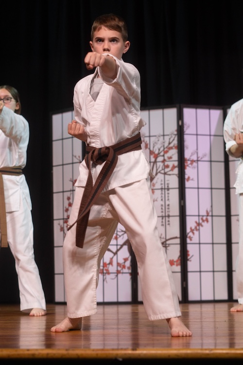 kid in a karate uniform holding a striking pose