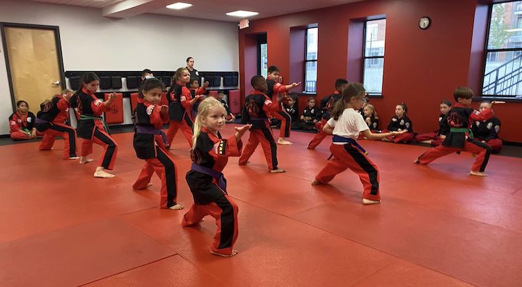 Martial Arts Classes for Kids and Adults