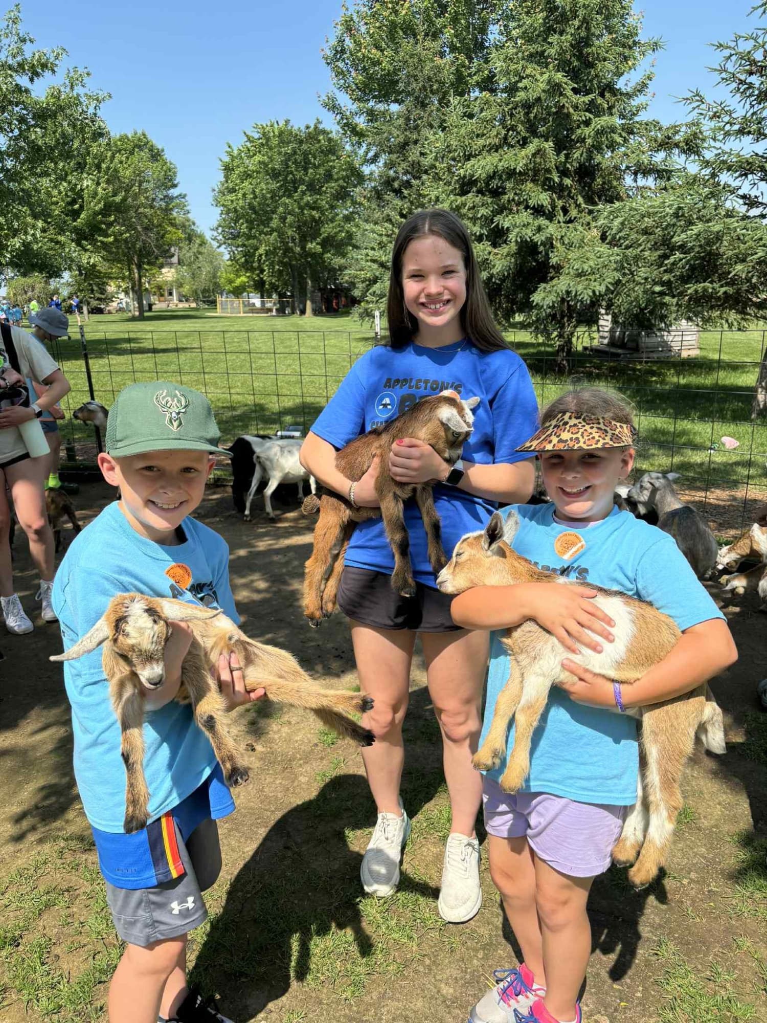 Summer Camp Goats