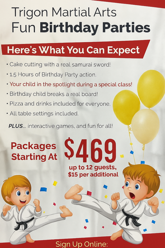 martial arts birthday parties near east northport