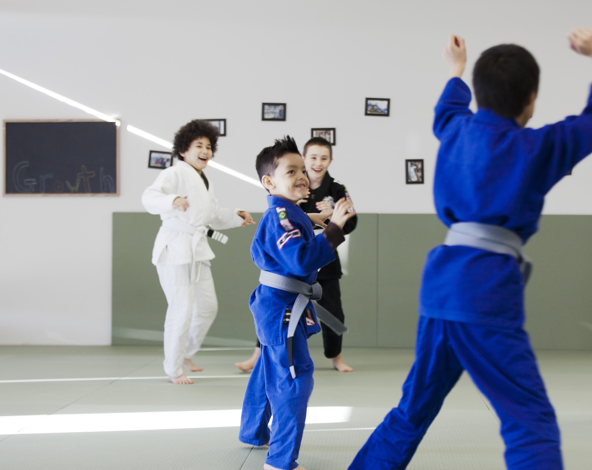 Brazilian Jiu Jitsu Waukee