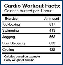 Counting the Calories Burned in Boxing, Muay Thai, and BJJ