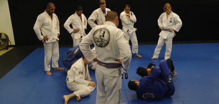 Why are so many intense male celebrities obsessed with Brazilian jiu jitsu?