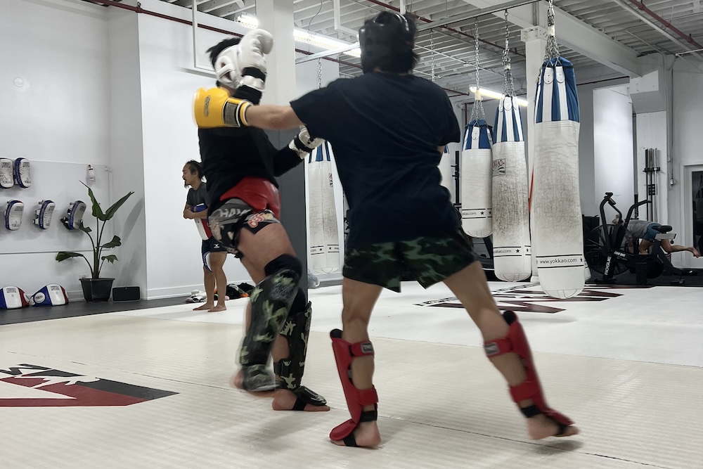Mma functional training hotsell