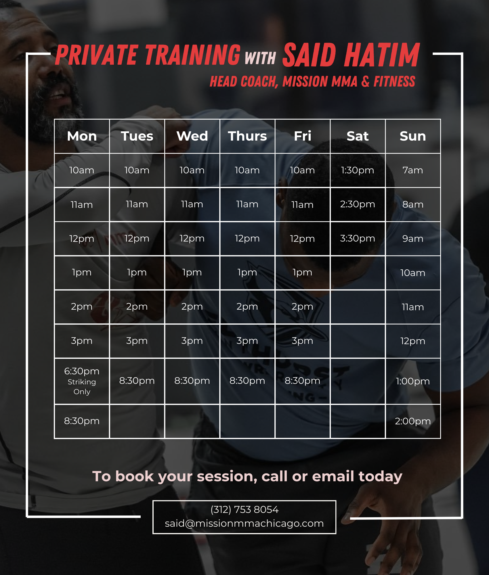 Private Martial Arts Training in Chicago