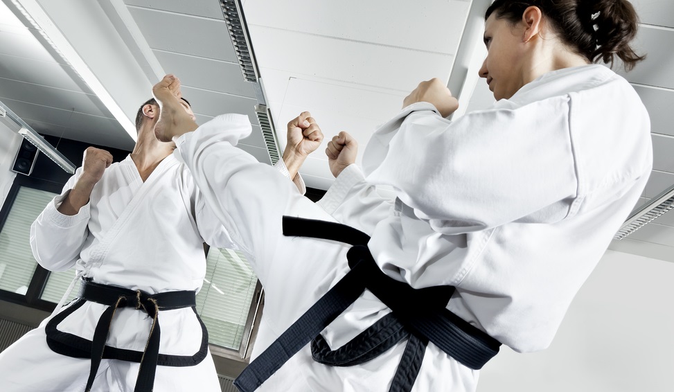 Adult Martial Arts Tigard