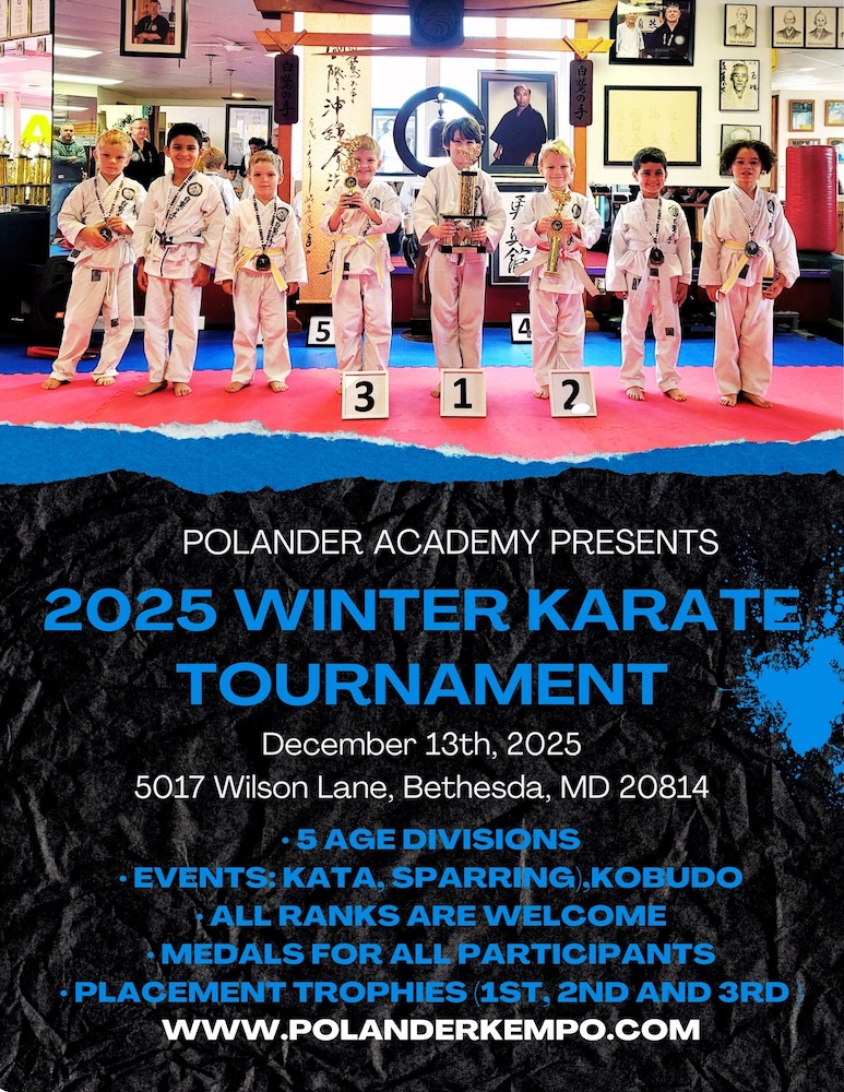 Polander Academy Winter Seminar 2025 - Image 2