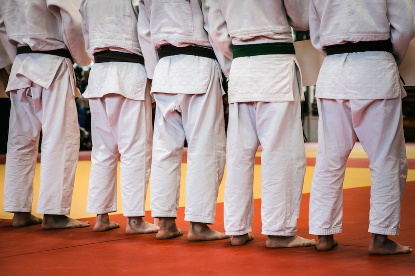 Adult Martial Arts in Hudson