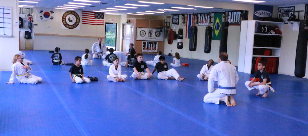 national martial arts Kids Martial Arts   poughkeepsie hyde park